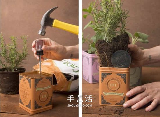不花一分钱！废物利用做花盆美到让邻居羡慕(图2)