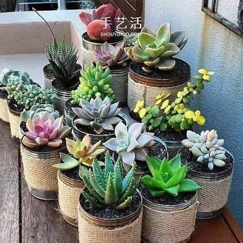 不花一分钱！废物利用做花盆美到让邻居羡慕(图11)