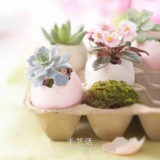 不花一分钱！废物利用做花盆美到让邻居羡慕(图21)