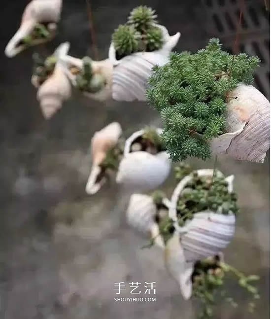 不花一分钱！废物利用做花盆美到让邻居羡慕(图29)