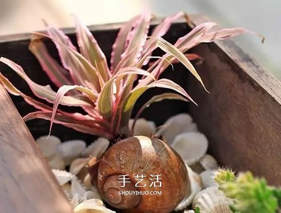 不花一分钱！废物利用做花盆美到让邻居羡慕(图32)