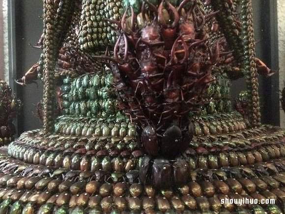 慎入！用昆虫尸体制作武士盔甲和千手观音(图6)