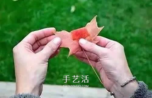 落叶制作玫瑰花图解 枫叶玫瑰花的做法步骤(图2)