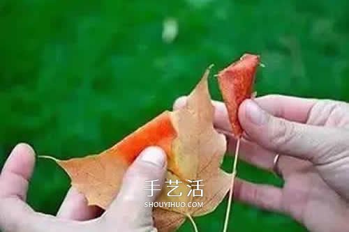 落叶制作玫瑰花图解 枫叶玫瑰花的做法步骤(图3)