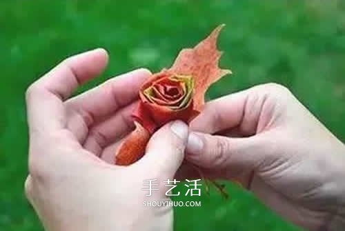 落叶制作玫瑰花图解 枫叶玫瑰花的做法步骤(图5)