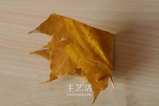 枫叶怎么做玫瑰花教程 简单枫叶玫瑰DIY方法(图3)