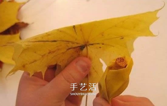 枫叶手工制作玫瑰花苞 树叶玫瑰花苞的做法(图4)