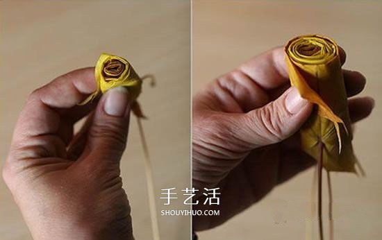 枫叶怎么做玫瑰花教程 简单枫叶玫瑰DIY方法(图5)