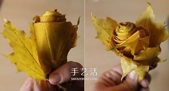 枫叶怎么做玫瑰花教程 简单枫叶玫瑰DIY方法(图6)