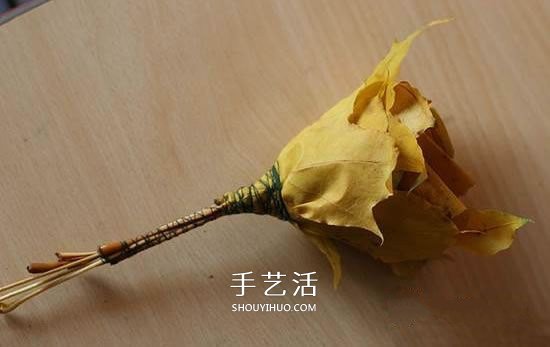 枫叶怎么做玫瑰花教程 简单枫叶玫瑰DIY方法(图7)