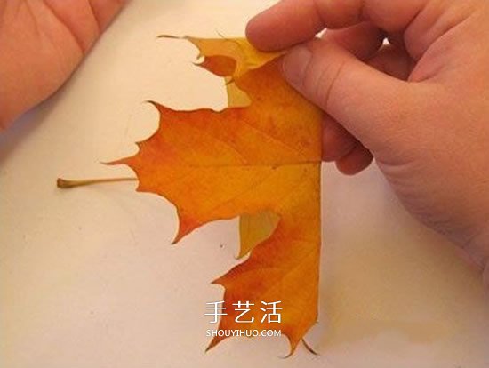 枫叶手工制作玫瑰花苞 树叶玫瑰花苞的做法(图1)