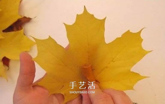 枫叶手工制作玫瑰花苞 树叶玫瑰花苞的做法(图2)