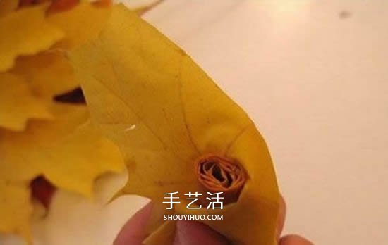 枫叶手工制作玫瑰花苞 树叶玫瑰花苞的做法(图3)