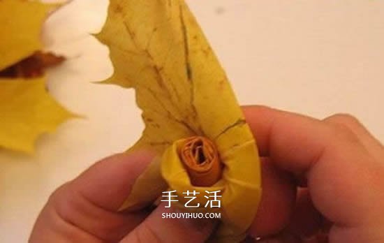 枫叶手工制作玫瑰花苞 树叶玫瑰花苞的做法(图5)
