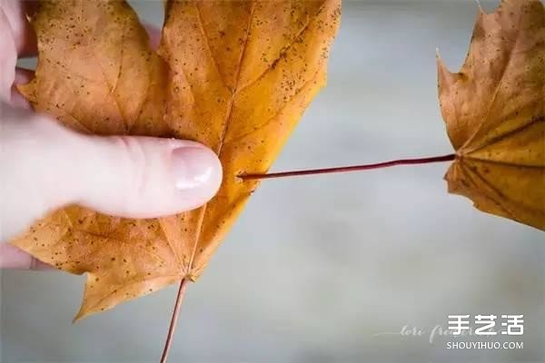 树叶皇冠的做法图片 手工枫叶皇冠制作方法(图2)