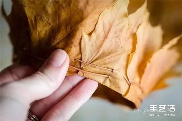 树叶皇冠的做法图片 手工枫叶皇冠制作方法(图4)