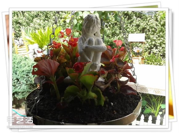 高压锅锅盖废物利用DIY制作花盆盆景的方法(图6)
