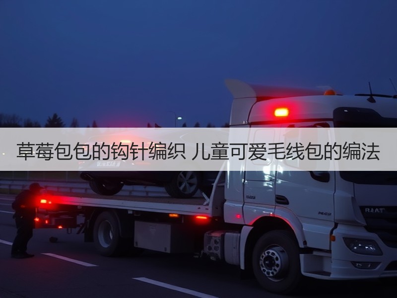 草莓包包的钩针编织 儿童可爱毛线包的编法 - 诺云双维造物网