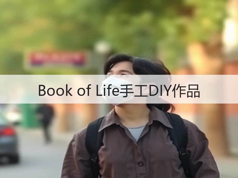 Book of Life手工DIY作品 - 诺云双维造物网