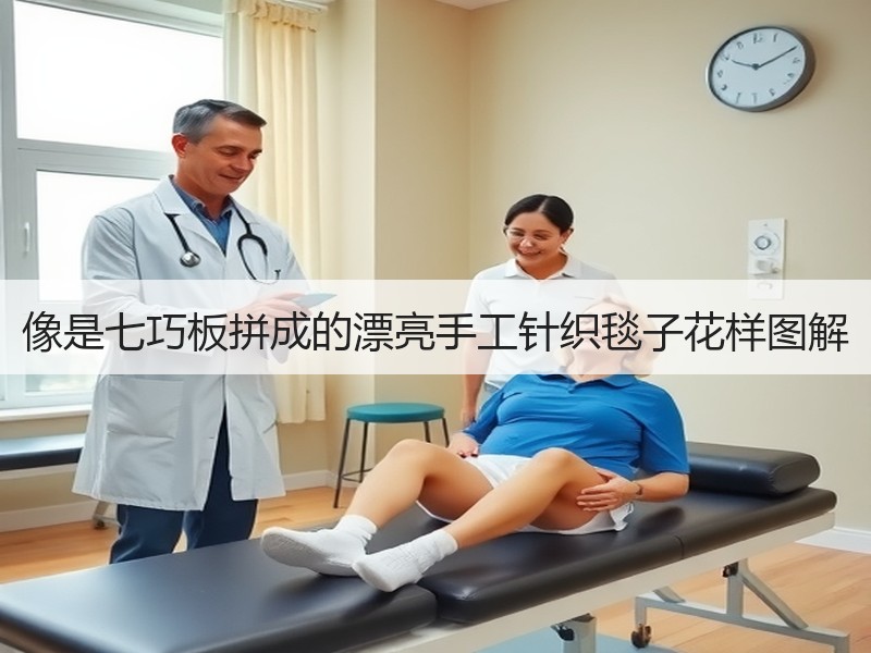 像是七巧板拼成的漂亮手工针织毯子花样图解 - 诺云双维造物网