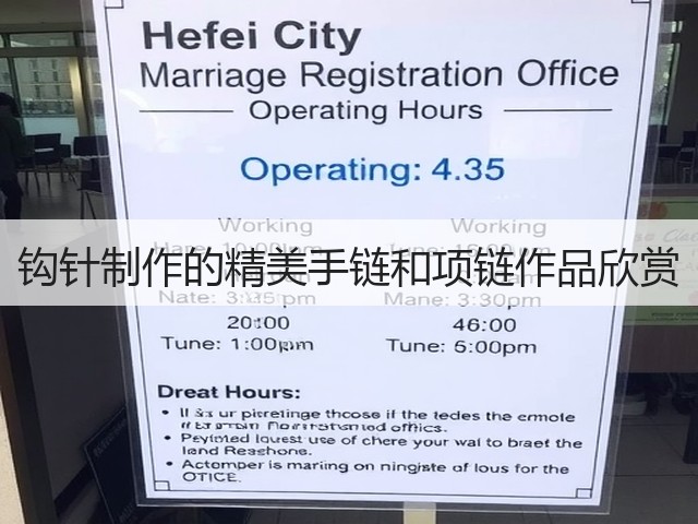 钩针制作的精美手链和项链作品欣赏(图1)