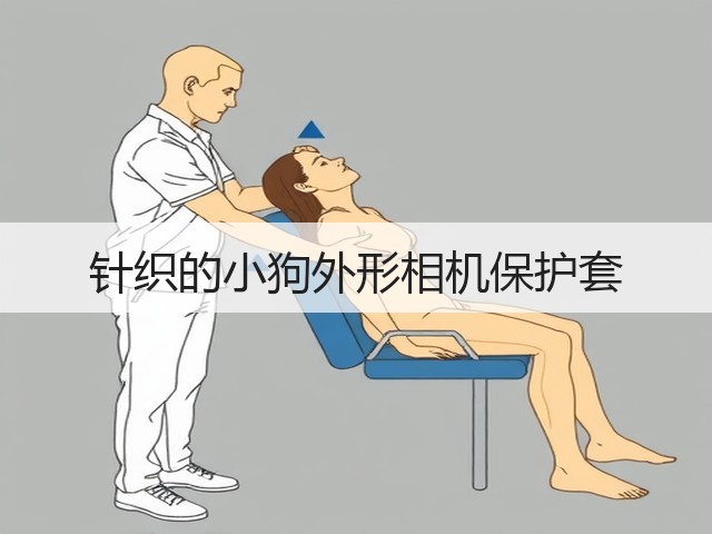 针织的小狗外形相机保护套(图1)