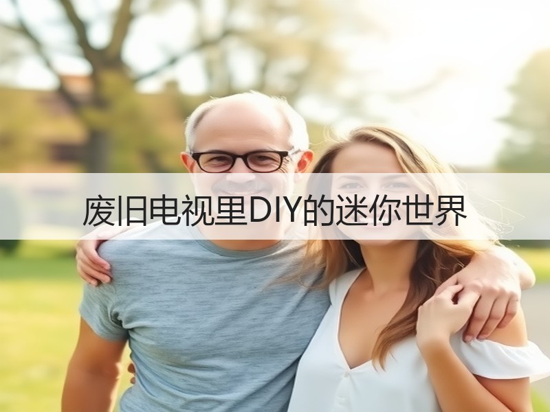 废旧电视里DIY的迷你世界 - 诺云双维造物网
