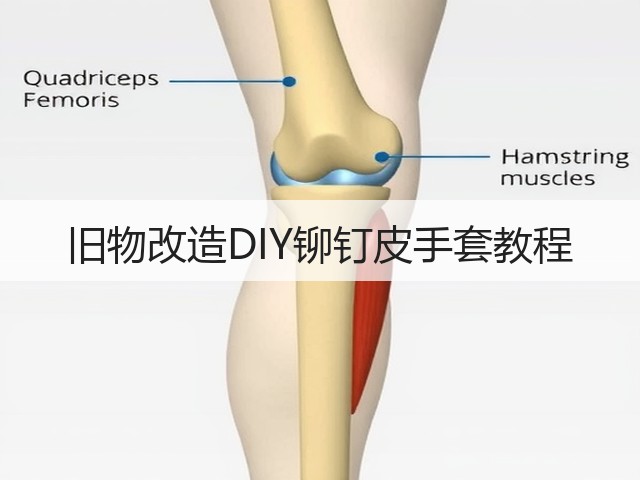 旧物改造DIY铆钉皮手套教程(图3)