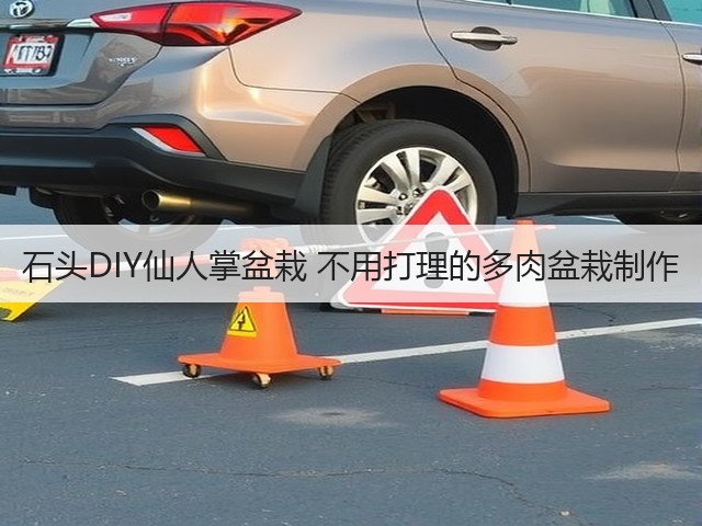 石头DIY仙人掌盆栽 不用打理的多肉盆栽制作(图1) 石头DIY仙人掌盆栽 不用打理的多肉盆栽制作(图1)