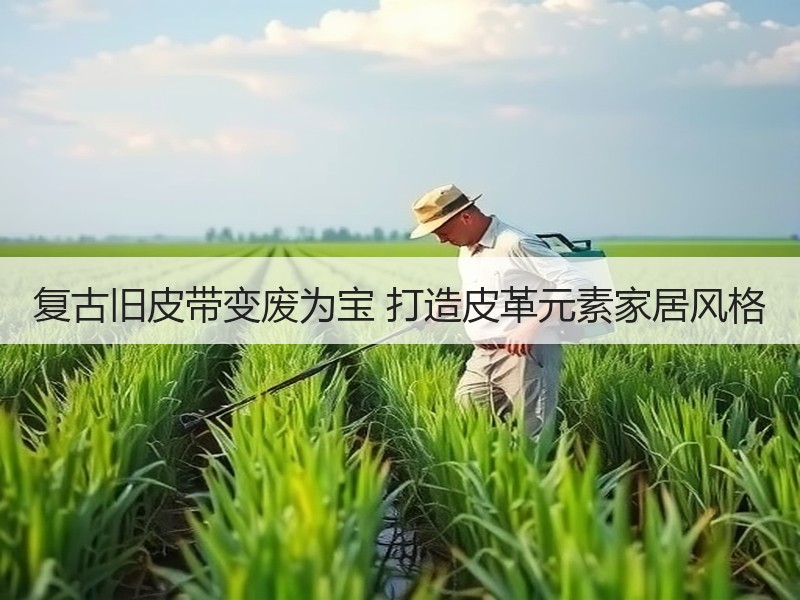 复古旧皮带变废为宝 打造皮革元素家居风格 - 诺云双维造物网