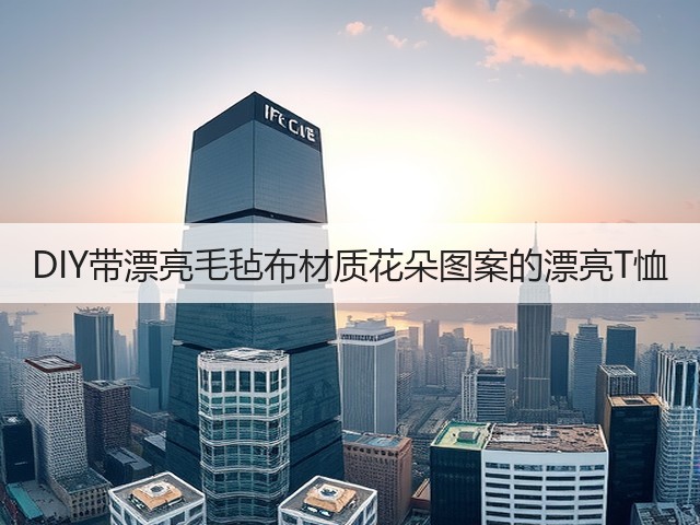 DIY带漂亮毛毡布材质花朵图案的漂亮T恤(图2)