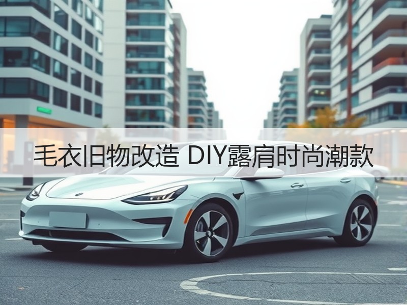 毛衣旧物改造 DIY露肩时尚潮款 - 诺云双维造物网
