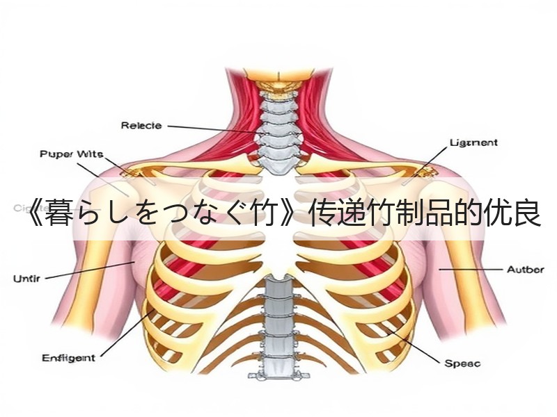 《暮らしをつなぐ竹》传递竹制品的优良 - 诺云双维造物网