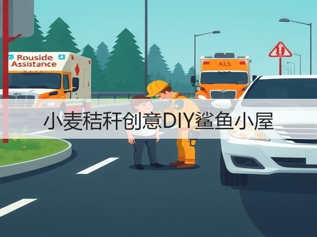 小麦秸秆创意DIY鲨鱼小屋(图3)