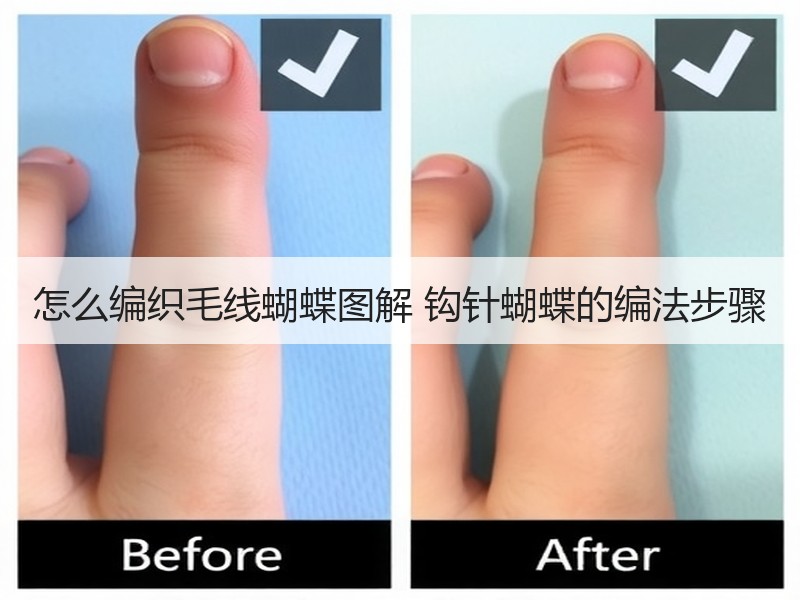 怎么编织毛线蝴蝶图解 钩针蝴蝶的编法步骤 - 诺云双维造物网