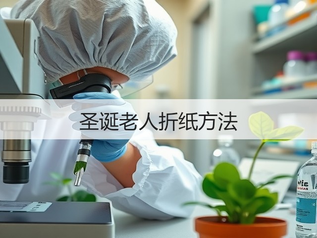 圣诞老人折纸方法(图3)