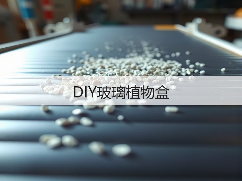 DIY玻璃植物盒 - 诺云双维造物网
