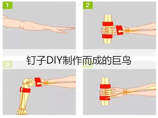 钉子DIY制作而成的巨鸟(图2)
