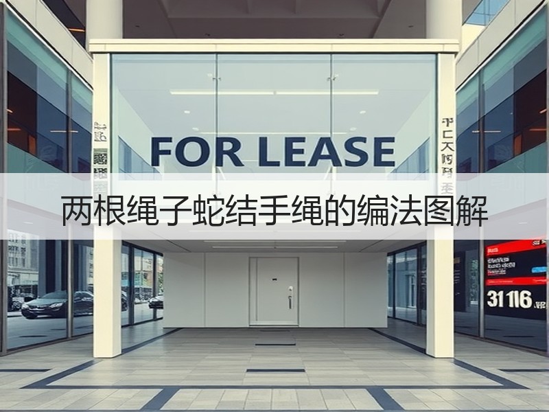 两根绳子蛇结手绳的编法图解 - 诺云双维造物网