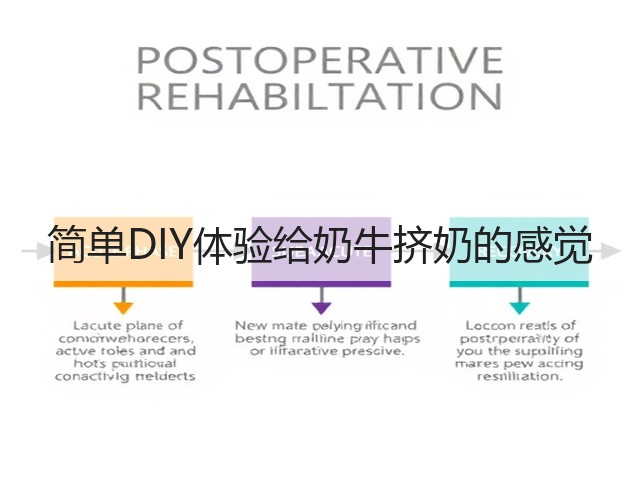 简单DIY体验给奶牛挤奶的感觉(图2)