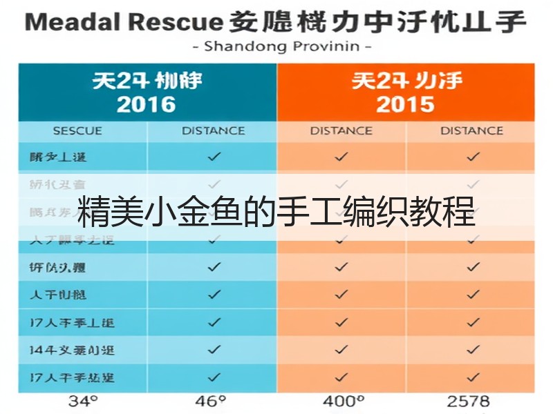 精美小金鱼的手工编织教程 - 诺云双维造物网