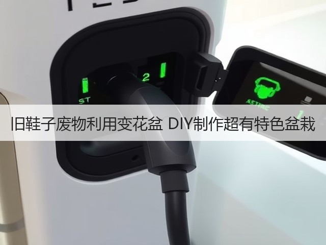旧鞋子废物利用变花盆 DIY制作超有特色盆栽(图1) 旧鞋子废物利用变花盆 DIY制作超有特色盆栽(图1)