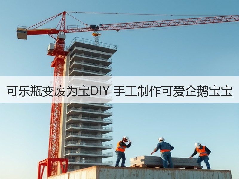 可乐瓶变废为宝DIY 手工制作可爱企鹅宝宝 - 诺云双维造物网
