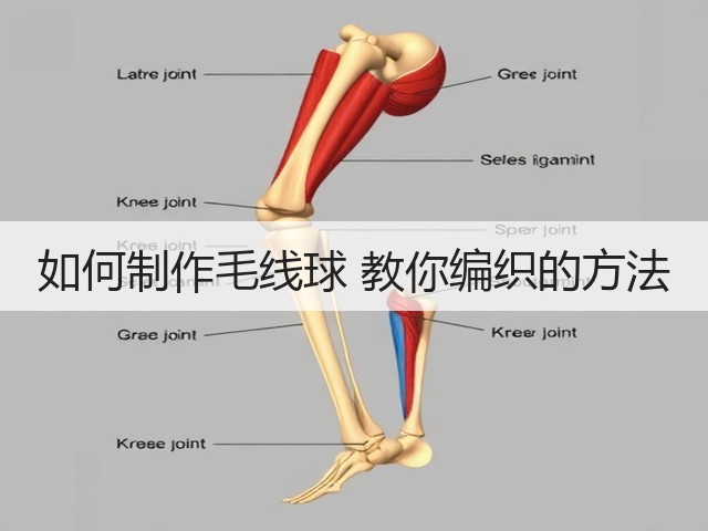 如何制作毛线球 教你编织的方法(图1) 如何制作毛线球 教你编织的方法(图1)