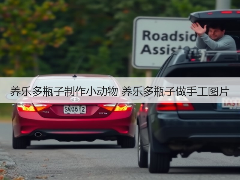 养乐多瓶子制作小动物 养乐多瓶子做手工图片 - 诺云双维造物网