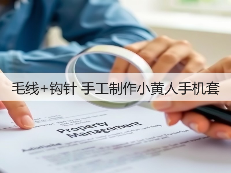 毛线+钩针 手工制作小黄人手机套 - 诺云双维造物网
