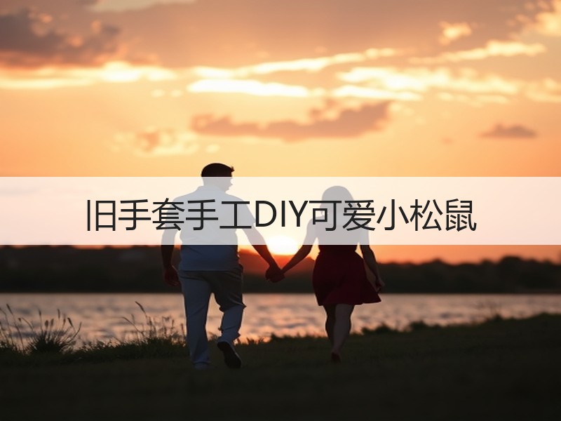 旧手套手工DIY可爱小松鼠 - 诺云双维造物网